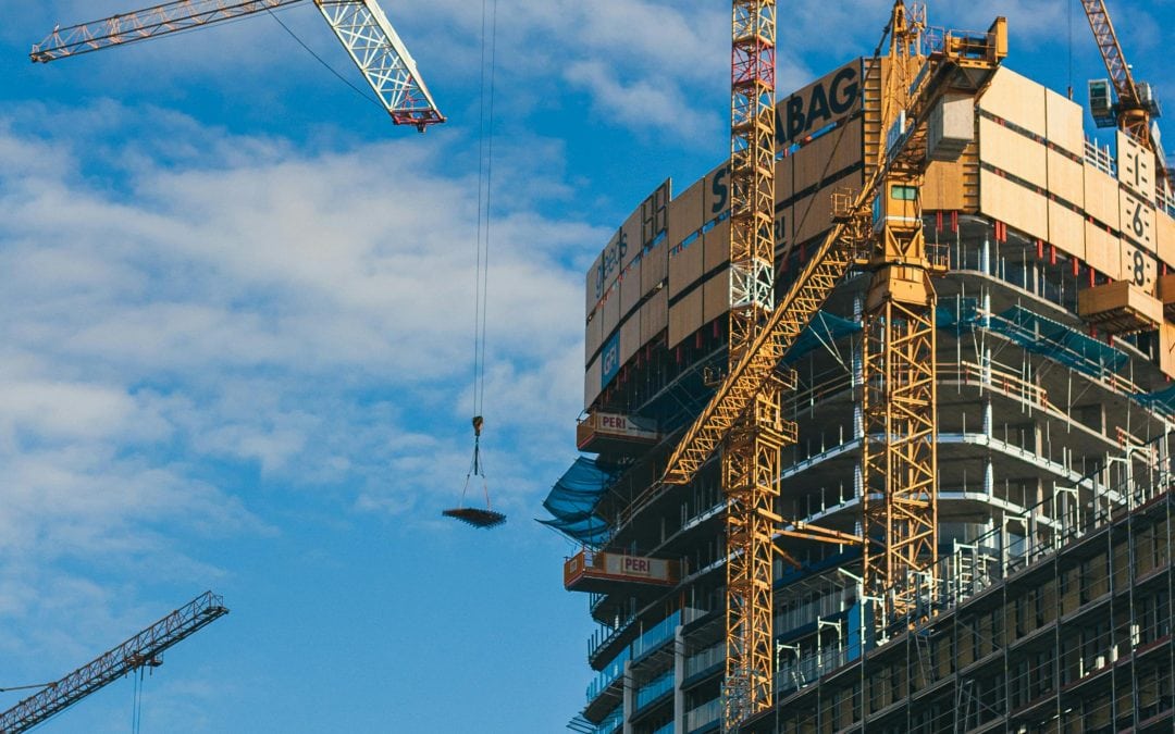 Practical Survival Lessons from New-Build Financials